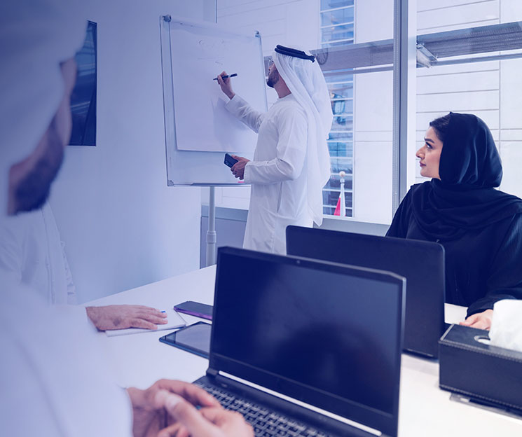 About UAE Labour Market Observatory
